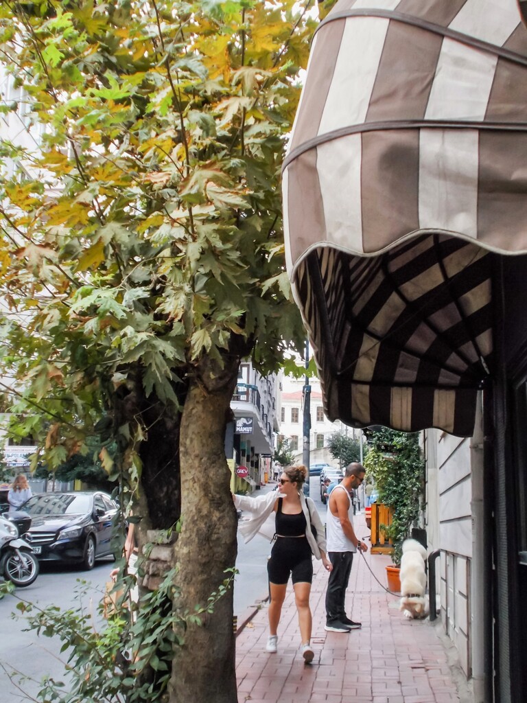 風が冷たくなり始めると…カフェオーレが恋しくなるね～♪