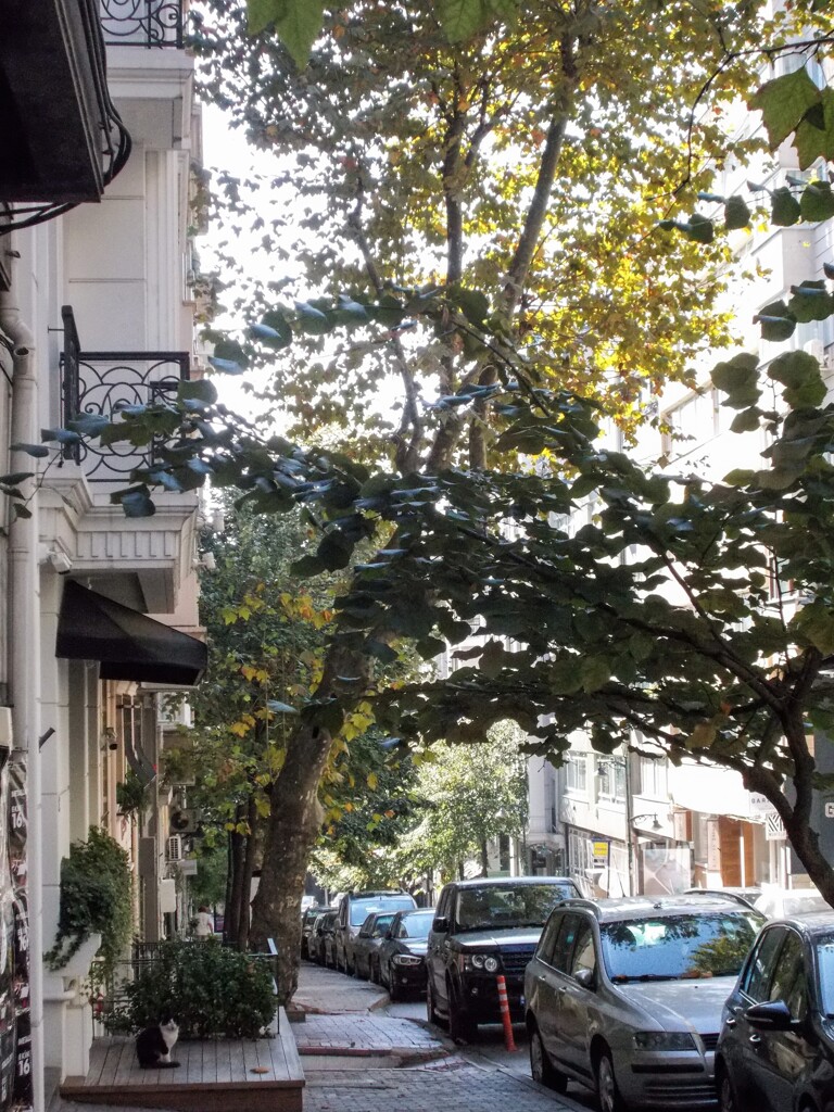 近づく冬への覚悟