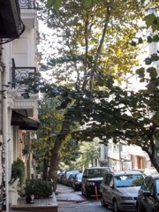 近づく冬への覚悟