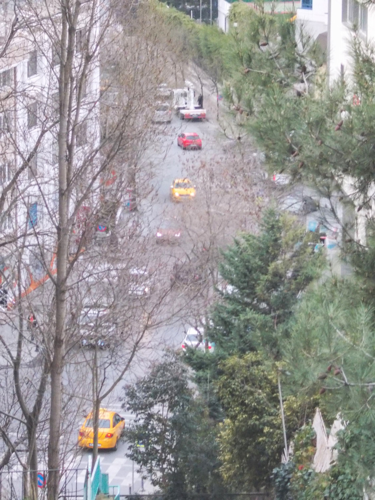 冬の終わりの道路