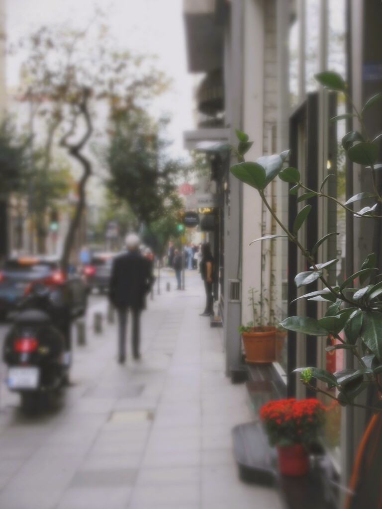 紅い花が咲いてた道…