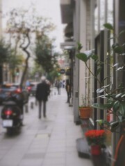 紅い花が咲いてた道…