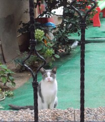 早寝早起き～♪☆