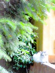 私よりズート大人だな…！って思う表情…