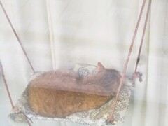 道路脇の窓辺のハンモックにて～～♪