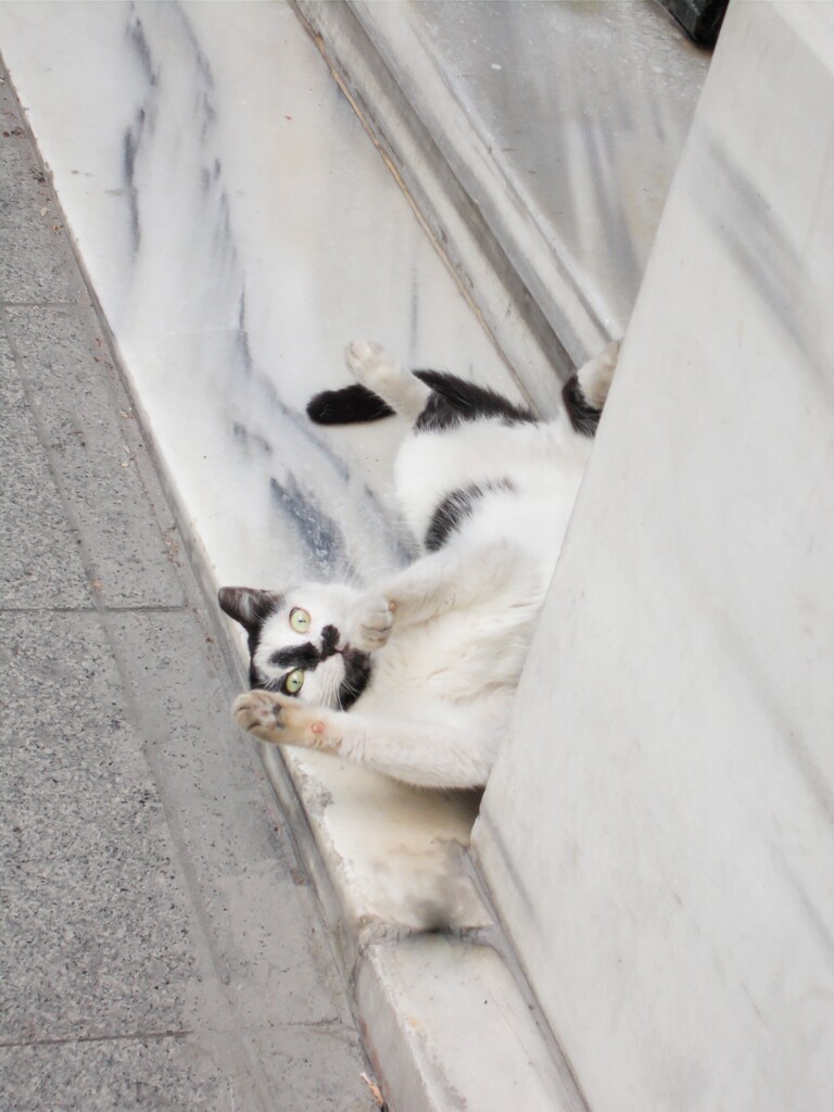 大変！！！　落ちた！！！