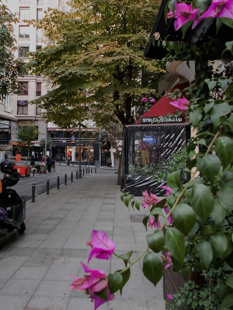 コロナ侵略の街＊＊＊