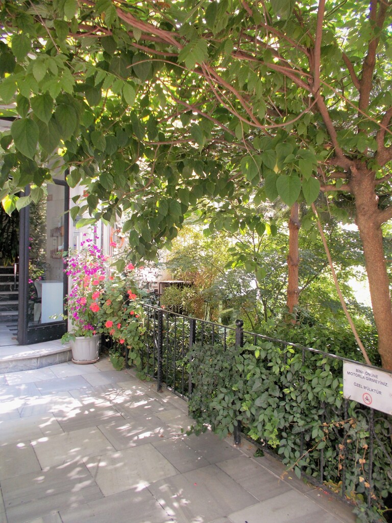 キラキラな朝～*☆*～