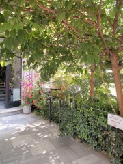 キラキラな朝～*☆*～