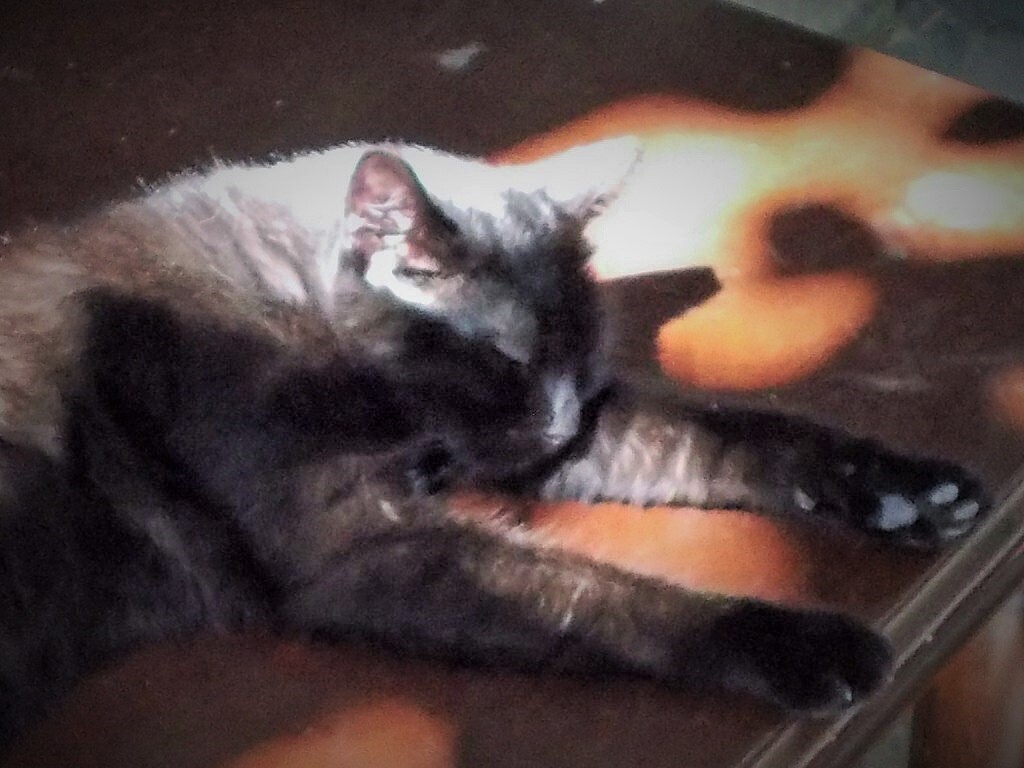 お眠り～お眠り～♡