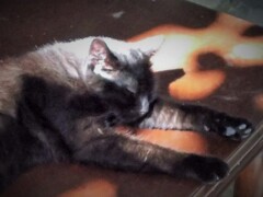 お眠り～お眠り～♡