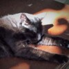お眠り～お眠り～♡
