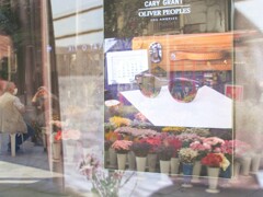 眼鏡屋のウィンドーに映ったジプシーの花～❀