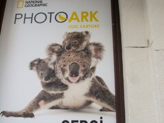 お母ちゃんと一緒～♡