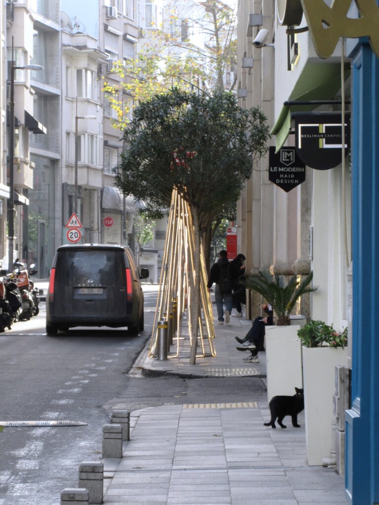 見返り黒たん～♥