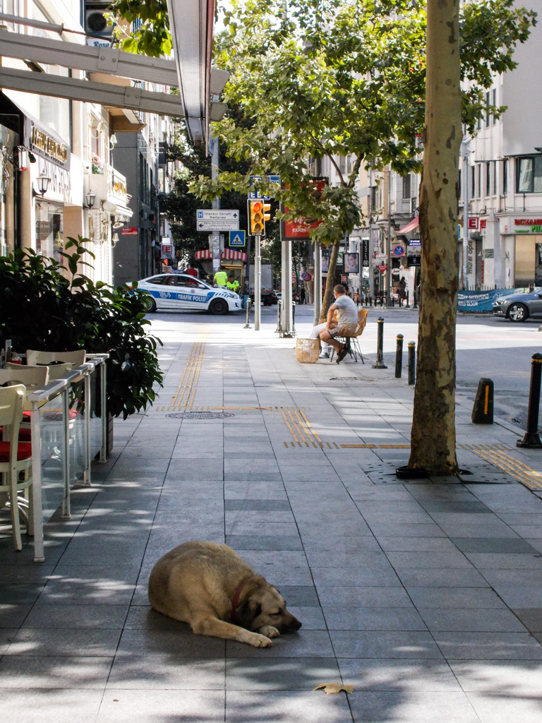 すみません…って言って通ります～私達