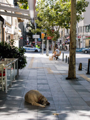 すみません…って言って通ります～私達