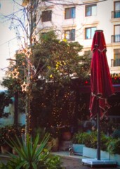 ふ～ん　ヒュウマンはクリスマスにゃんだって…