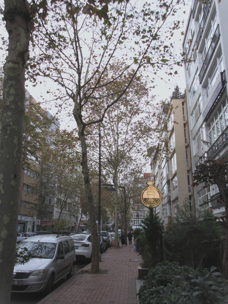 予報は雨。。。標高の高い所は雪。。。って