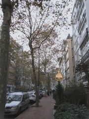 予報は雨。。。標高の高い所は雪。。。って