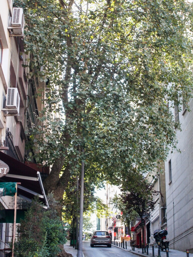 イスタンブール～こんな坂道だらけの街です～