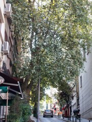 イスタンブール～こんな坂道だらけの街です～