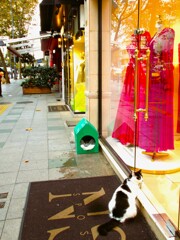 私のクリスマスは～～♡☆