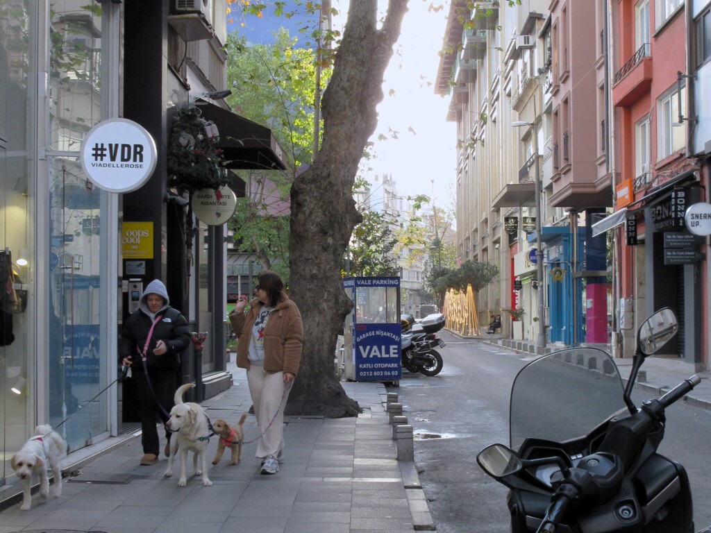 犬を見れば　飼い主がわかる…とか