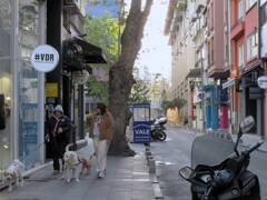 犬を見れば　飼い主がわかる…とか