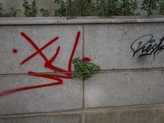 カッコイイ落書き…？