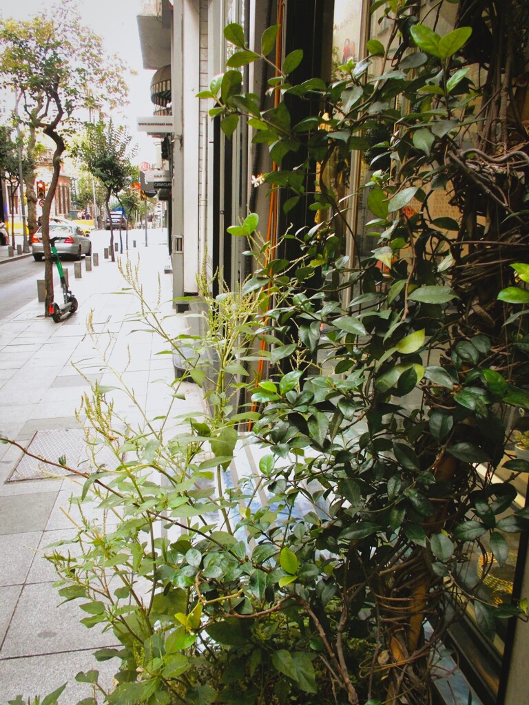 夏の後ろ姿…