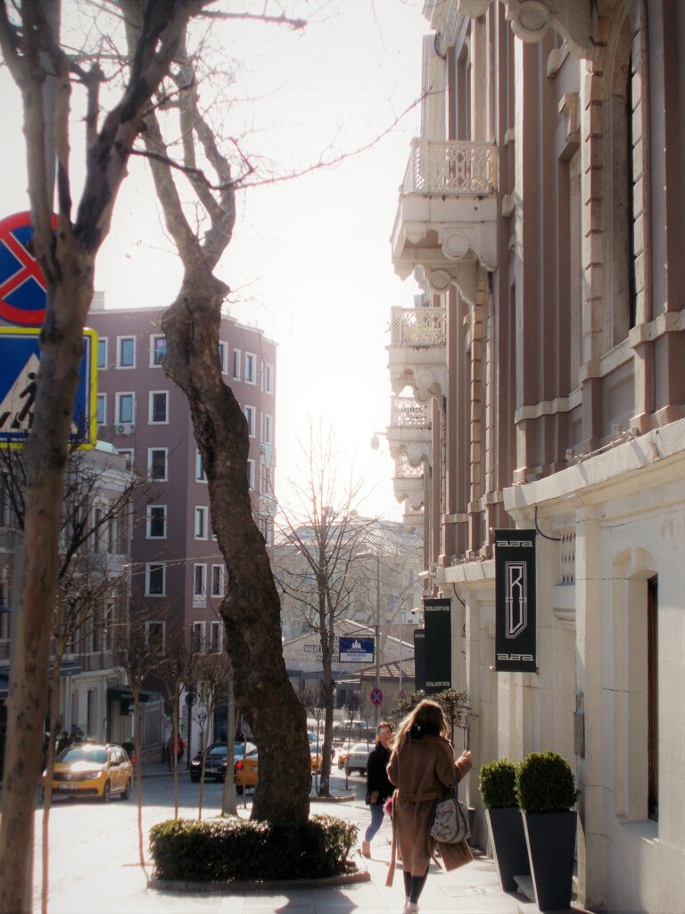 春の光りが降り注ぐ～～