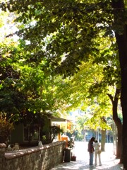 金色に輝きだす朝～°˖✧◜✧˖°