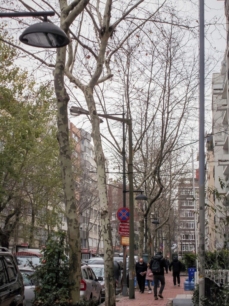 住宅街の寒い朝～＊　”ねぇ　おじいちゃん”～♡