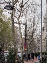 住宅街の寒い朝～＊　”ねぇ　おじいちゃん”～♡