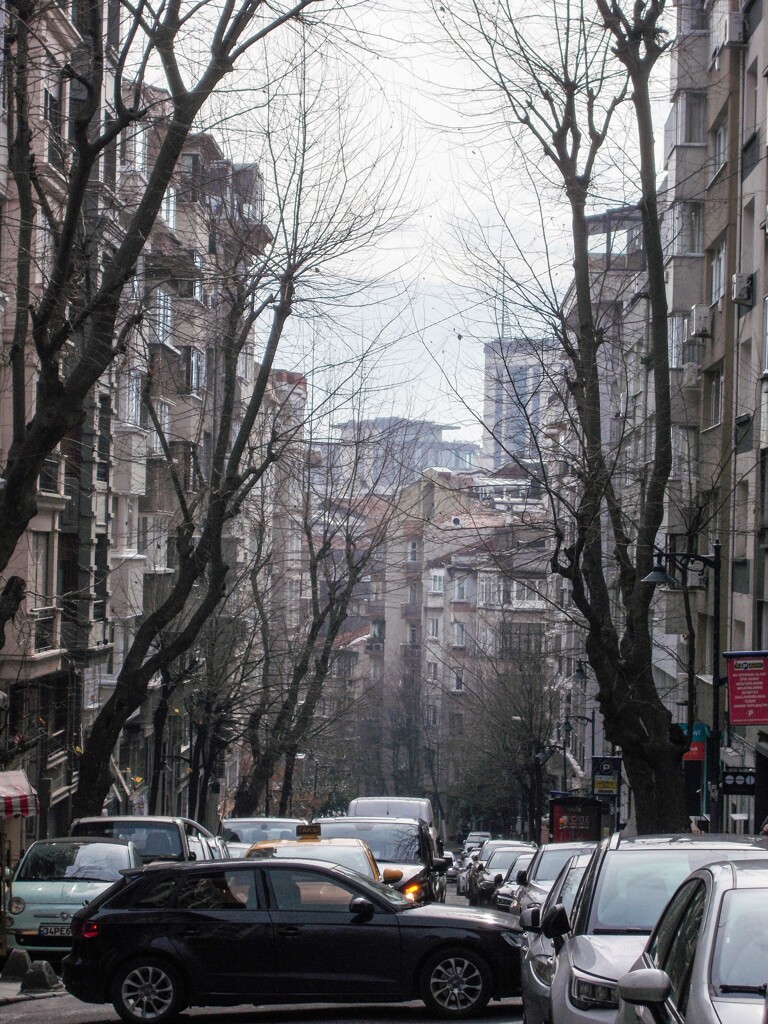 どっかでドラキュラが眠っていそう～