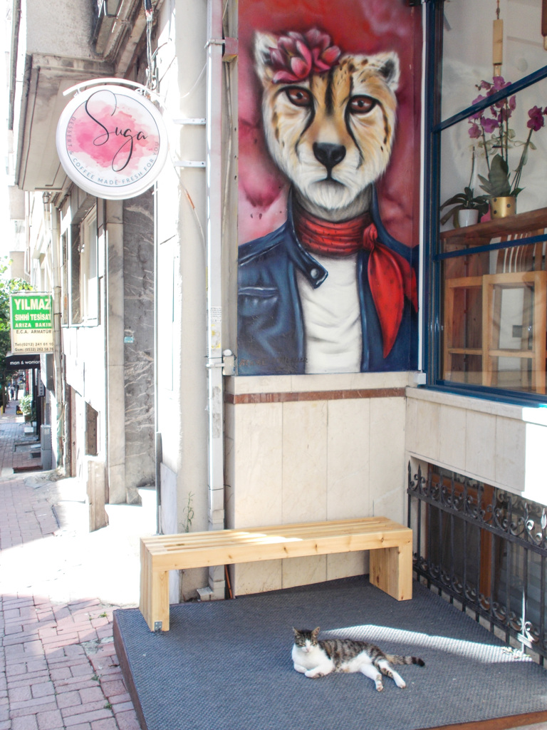 マイお店にゃの…