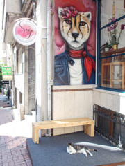 マイお店にゃの…