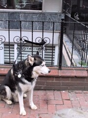 僕とカラスと～～♪