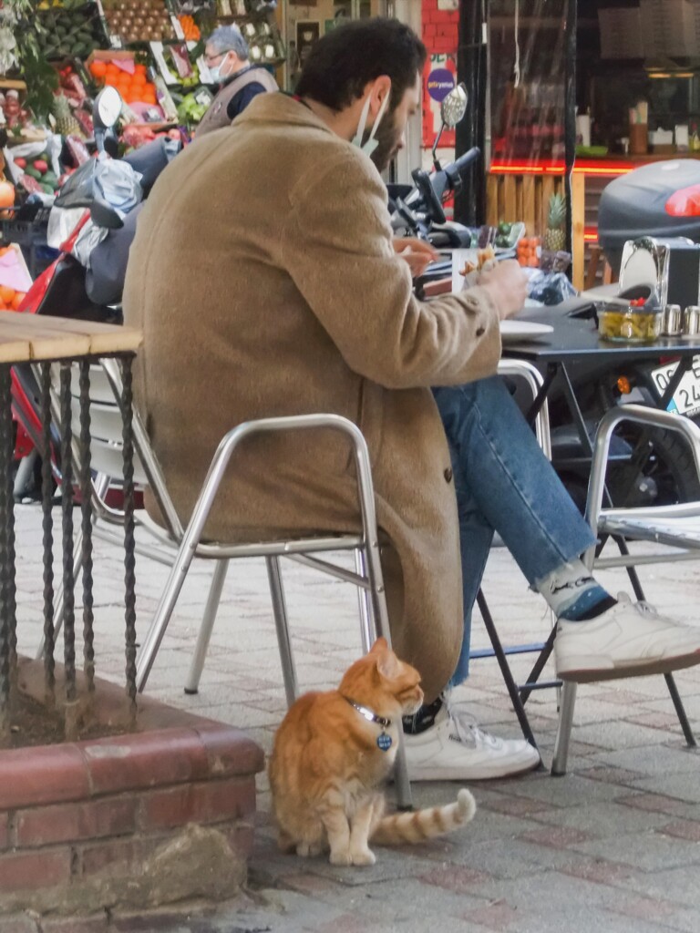 おじちゃん　お食事中～