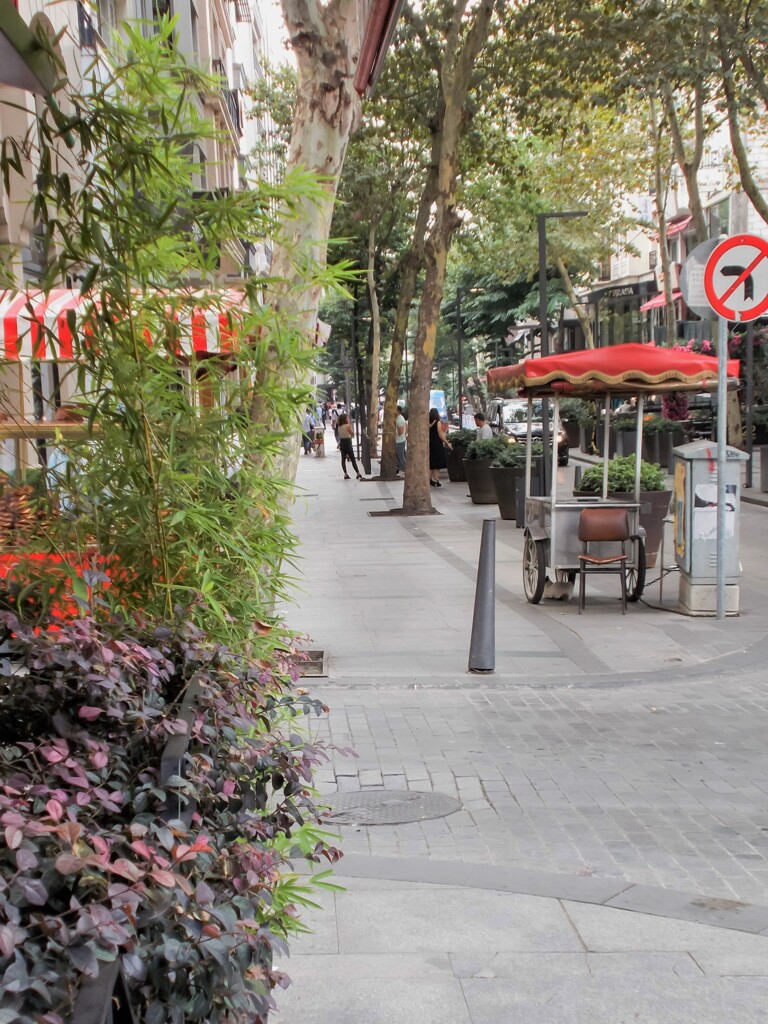 イスタンブールの秋は短くてすぐに冬になってしまう…