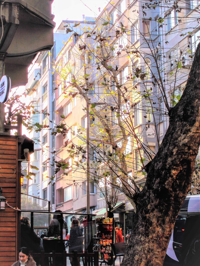 １日の始まり～希望～