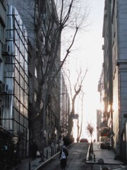 光りに向かって～昇ってこう～☆