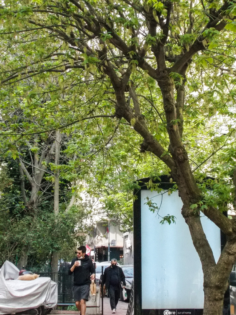 広告パネルも今は空っぽ・・・