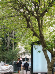 広告パネルも今は空っぽ・・・