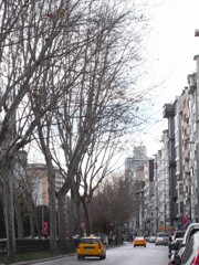 時間が静かに流れてた…