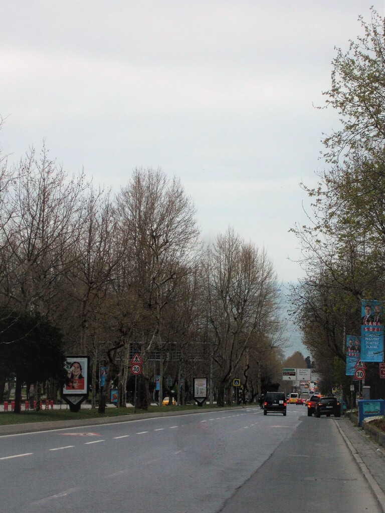 海に向かって走る～～