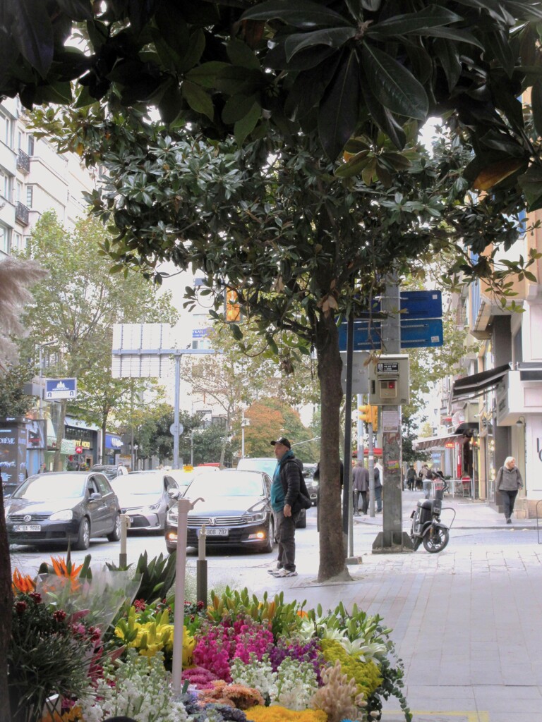 優しい朝～～♪