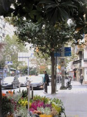 優しい朝～～♪