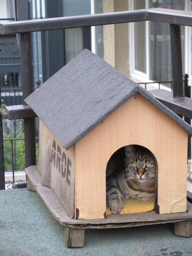 僕んち～～♡♪